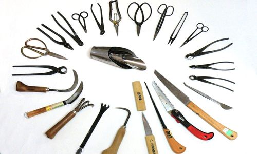 herramientas kits para bonsáis